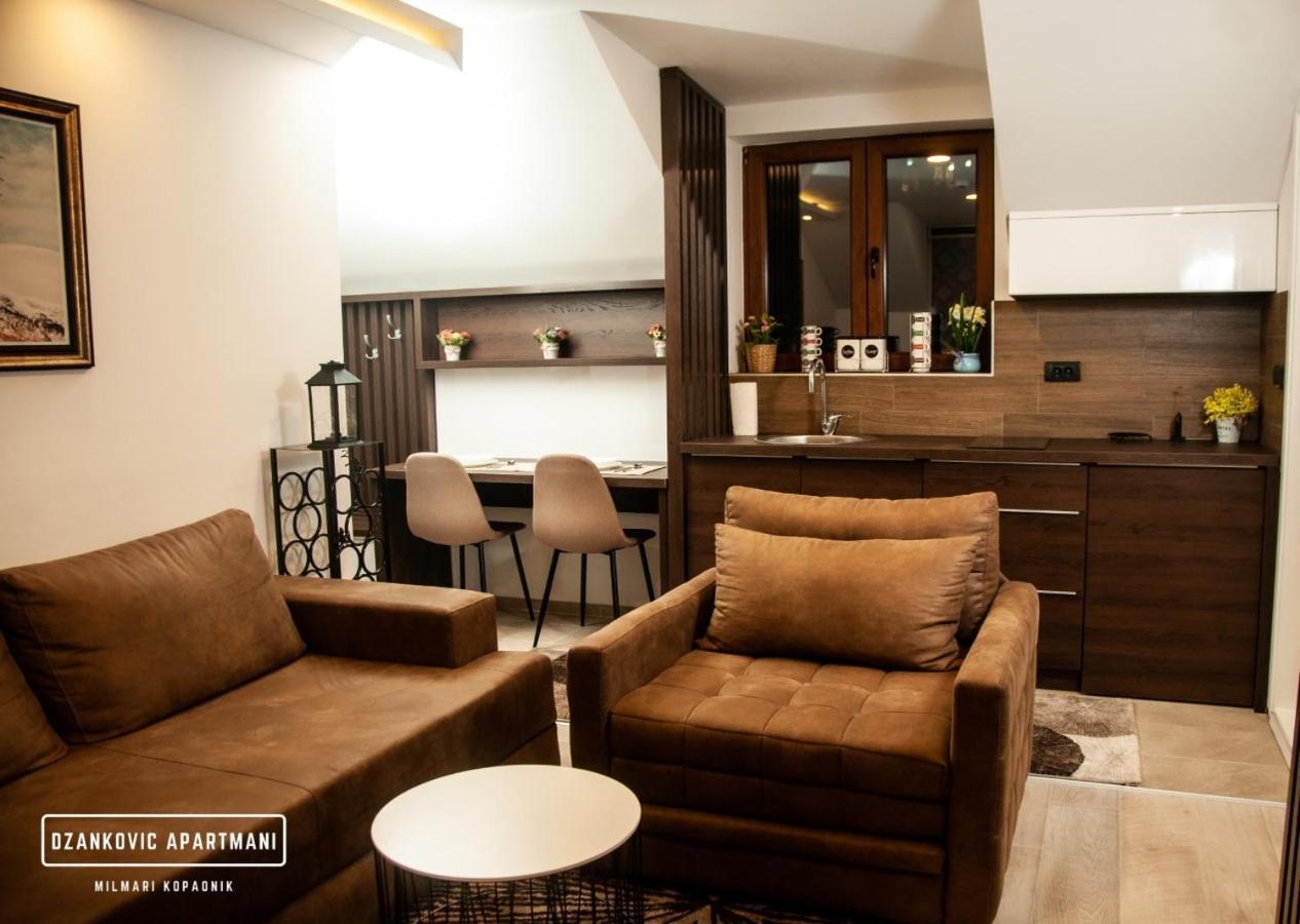 Apartmani Dzankovic Kopaonik Extérieur photo